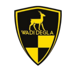 Wadi Degla Club Logo
